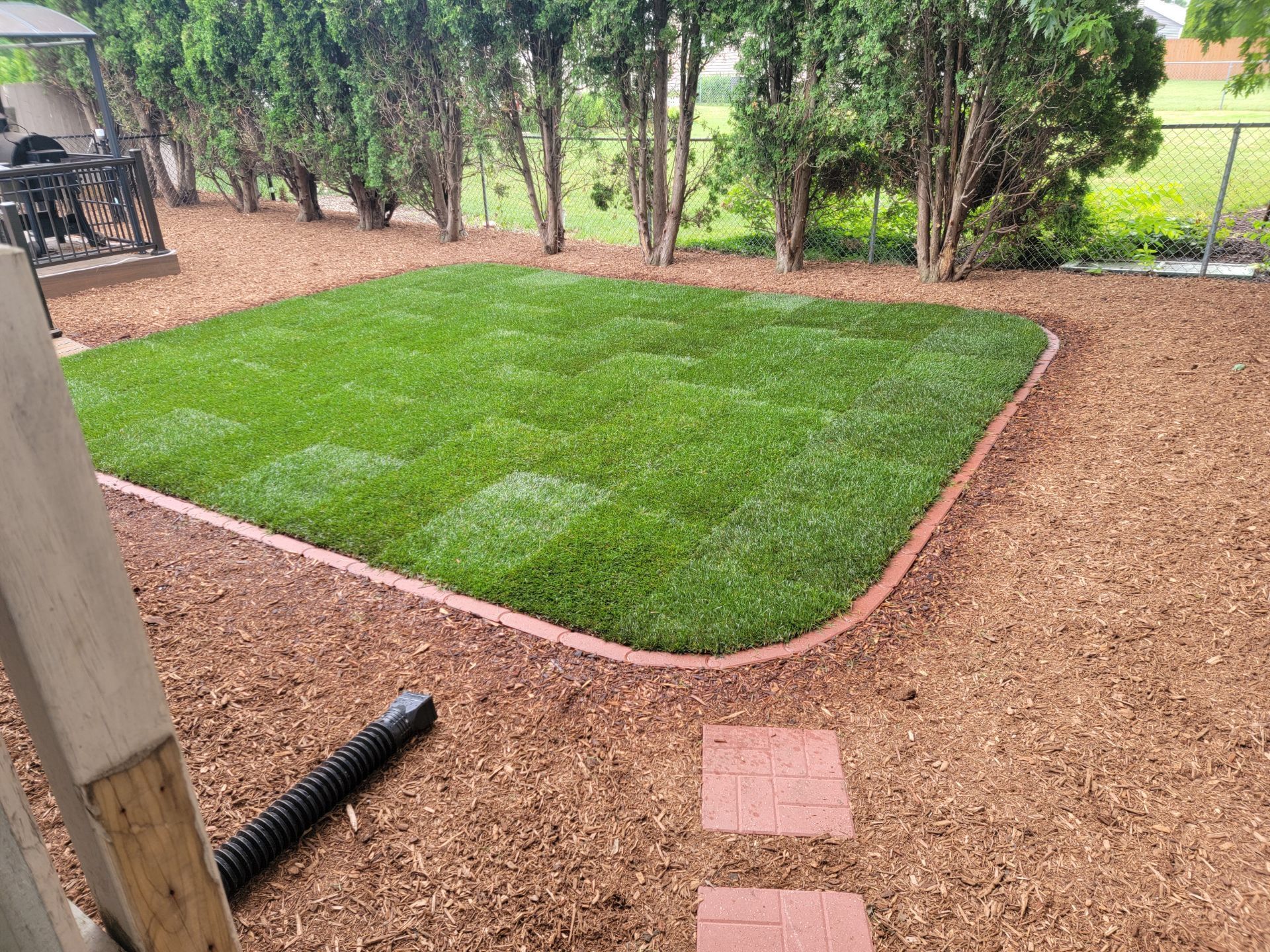 A backyard with a lush green lawn and a brick walkway.