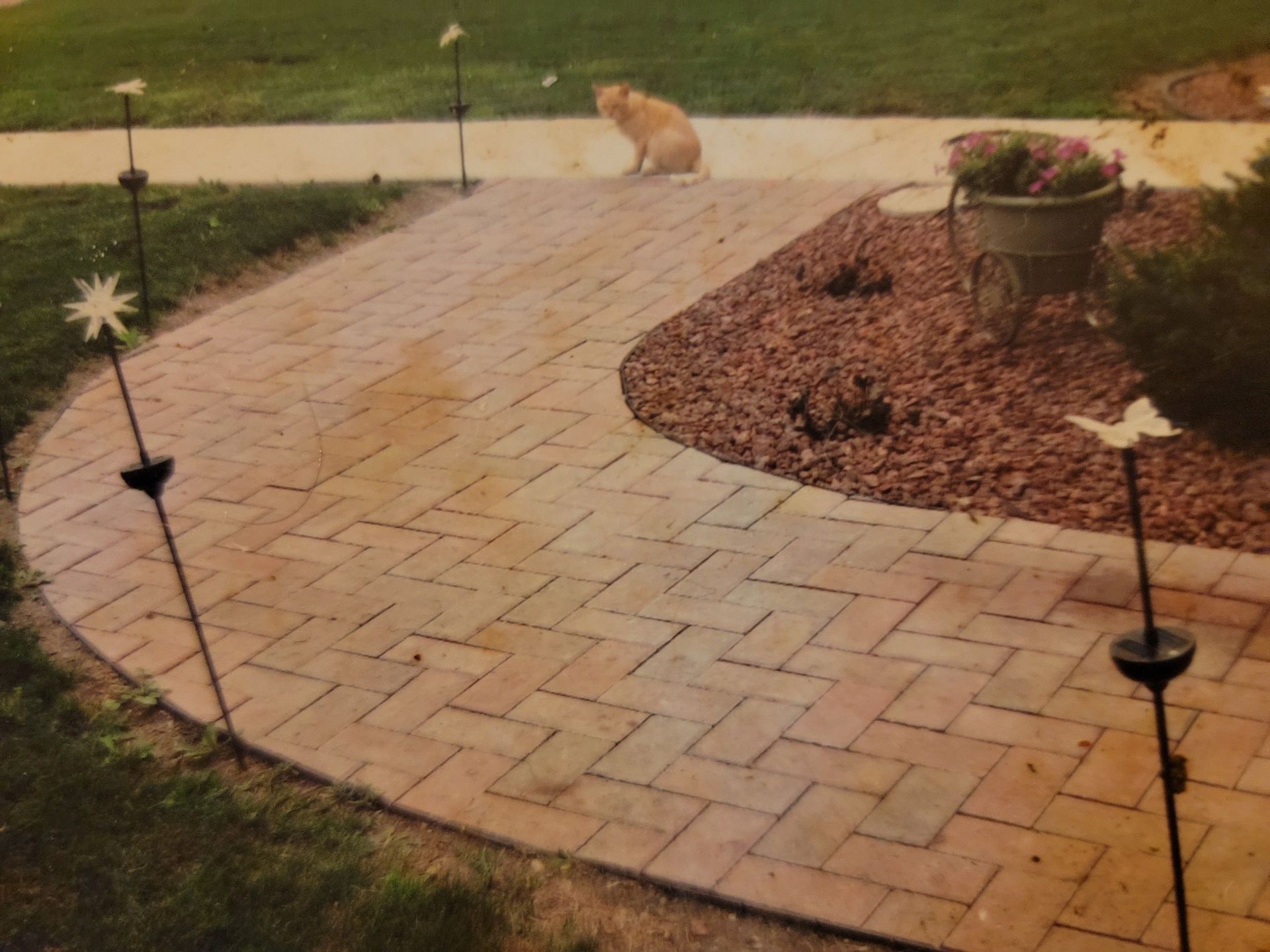 A cat sitting on a brick walkway next to a wheelbarrow