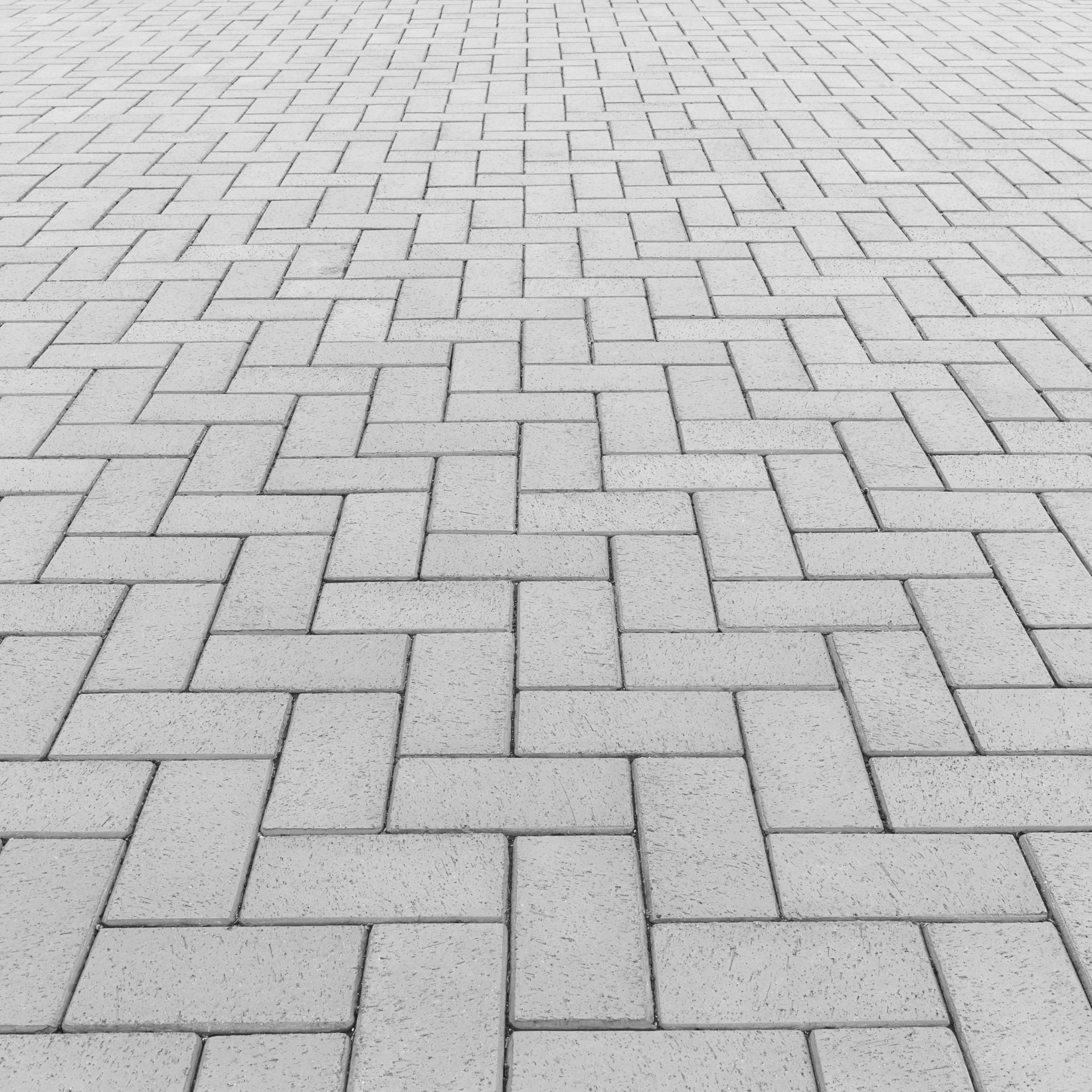 A black and white photo of a brick walkway with a herringbone pattern.