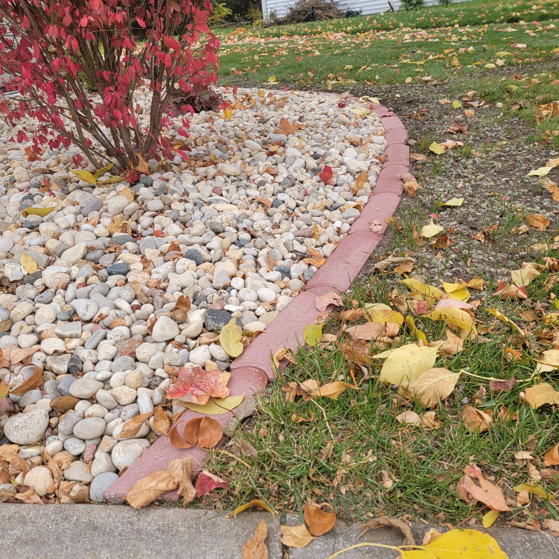 A bush with red leaves is surrounded by paver edging and leaves