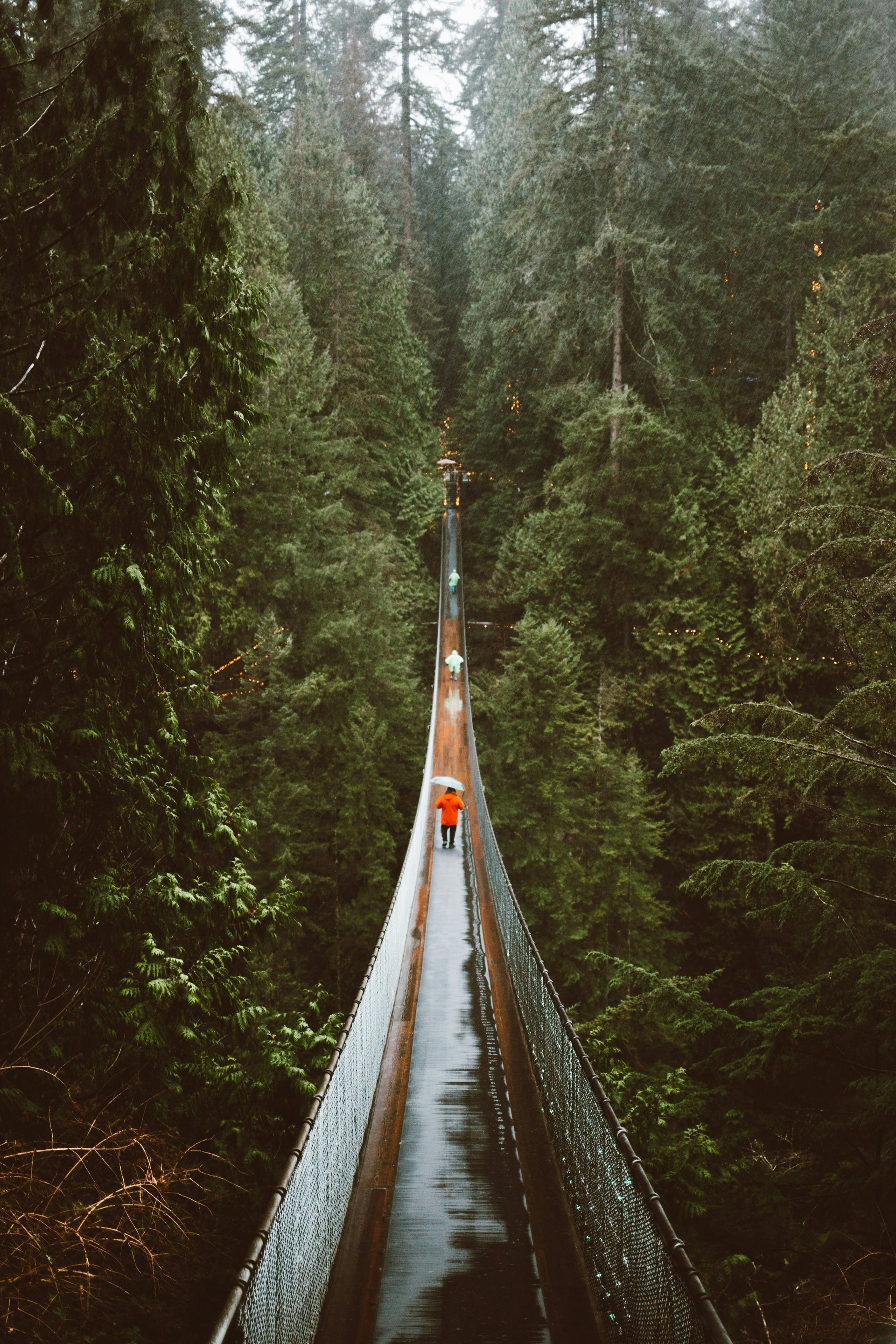 Capilano Suspension Bridge- Vancouver Vaction Rentals