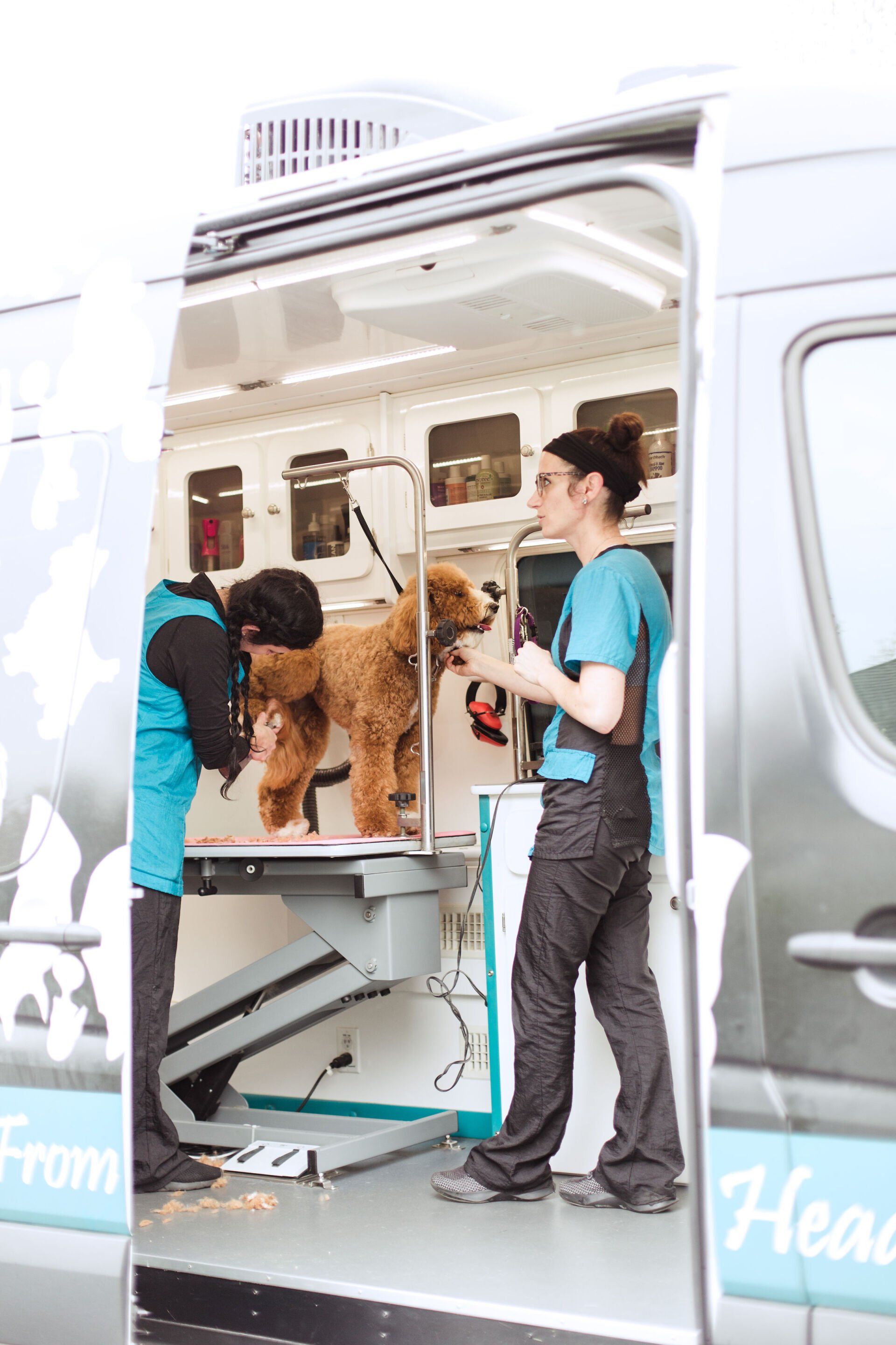 Shaggy to Chic Mobile Dog Groomer Lancaster, Pa