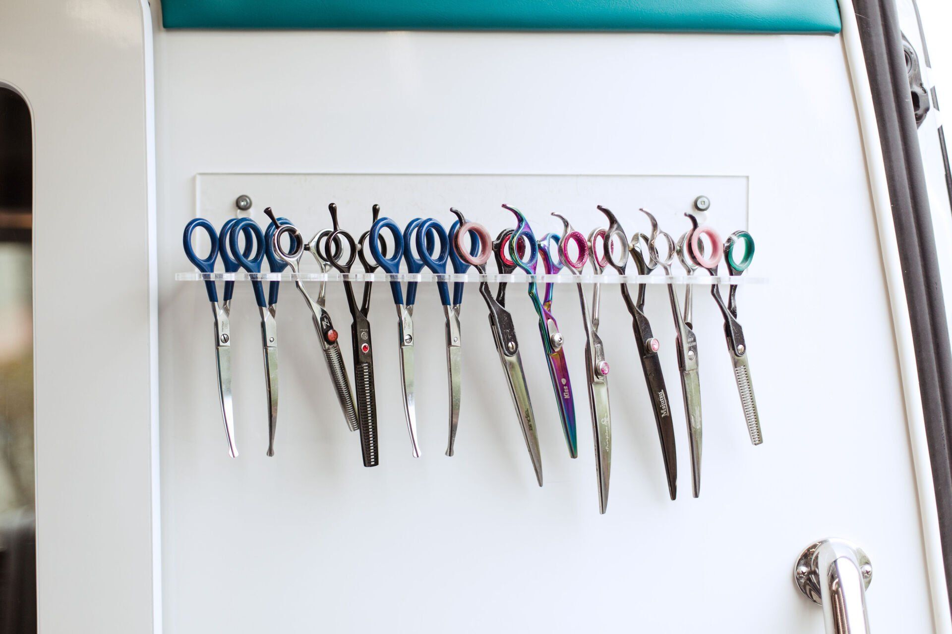 Shaggy to Chic Mobile Dog Groomer Lancaster, Pa