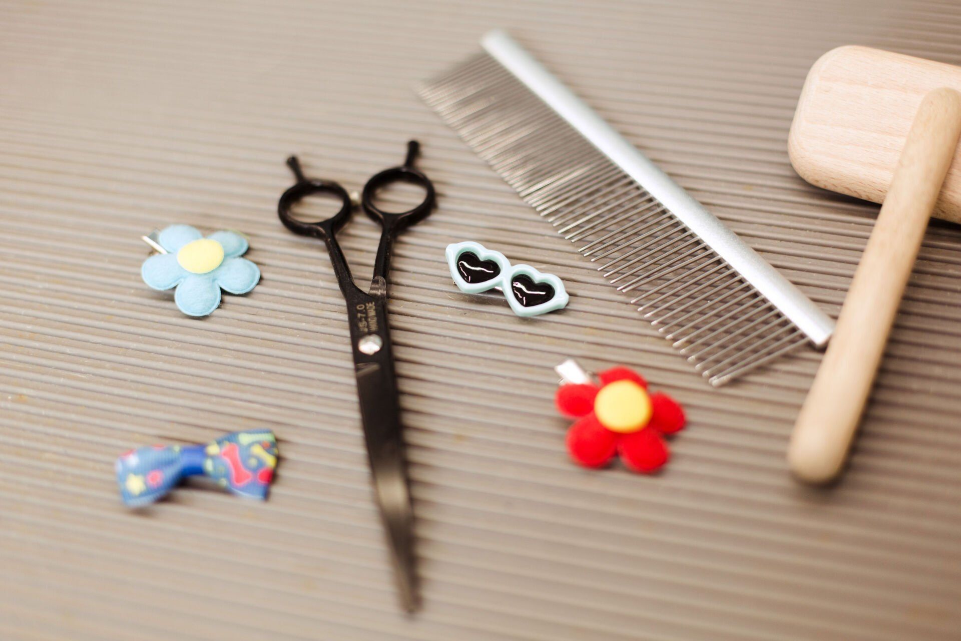 Shaggy to Chic Mobile Dog Groomer Lancaster, Pa