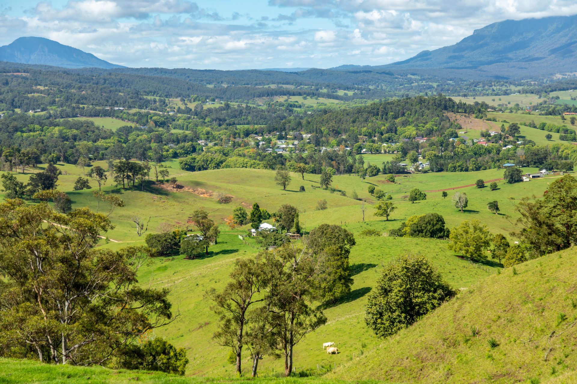 A view of a lush green valley with mountains in the background.