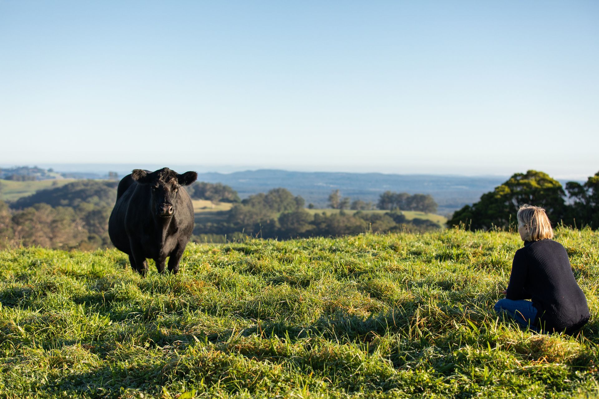 A man is sitting in a field looking at a cow.