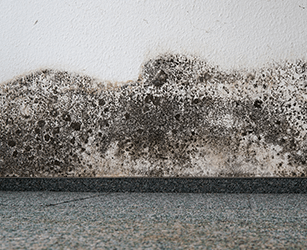 Damp proofing treatments