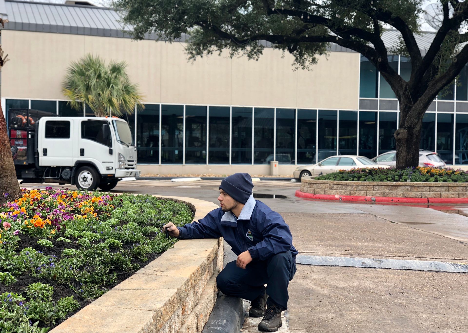 A person in a blue uniform crouches near a flower bed, inspecting plants. A truck and building are in the background.