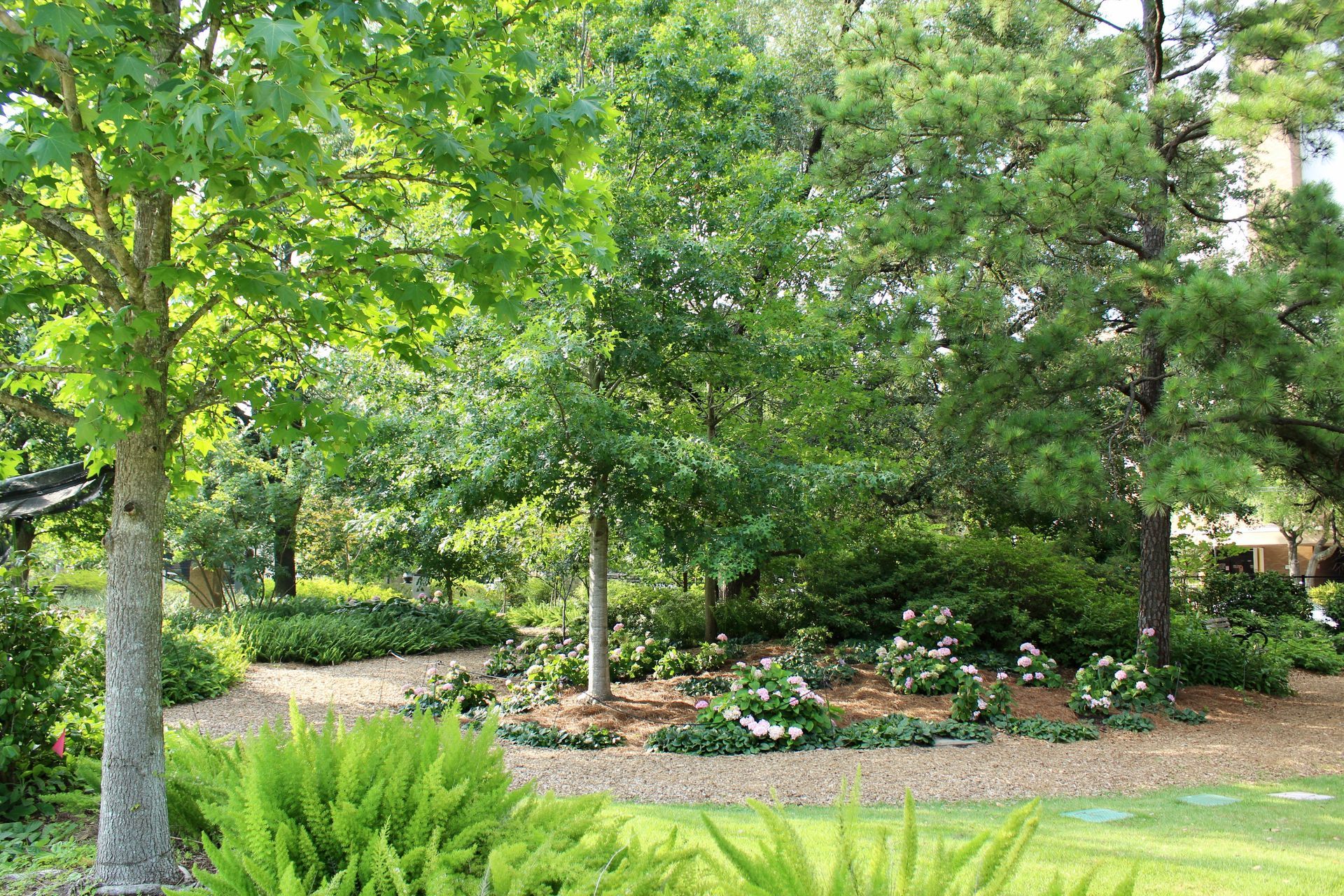 Lush green trees and bushes in a sunny garden with a bed of gravel and flowers.