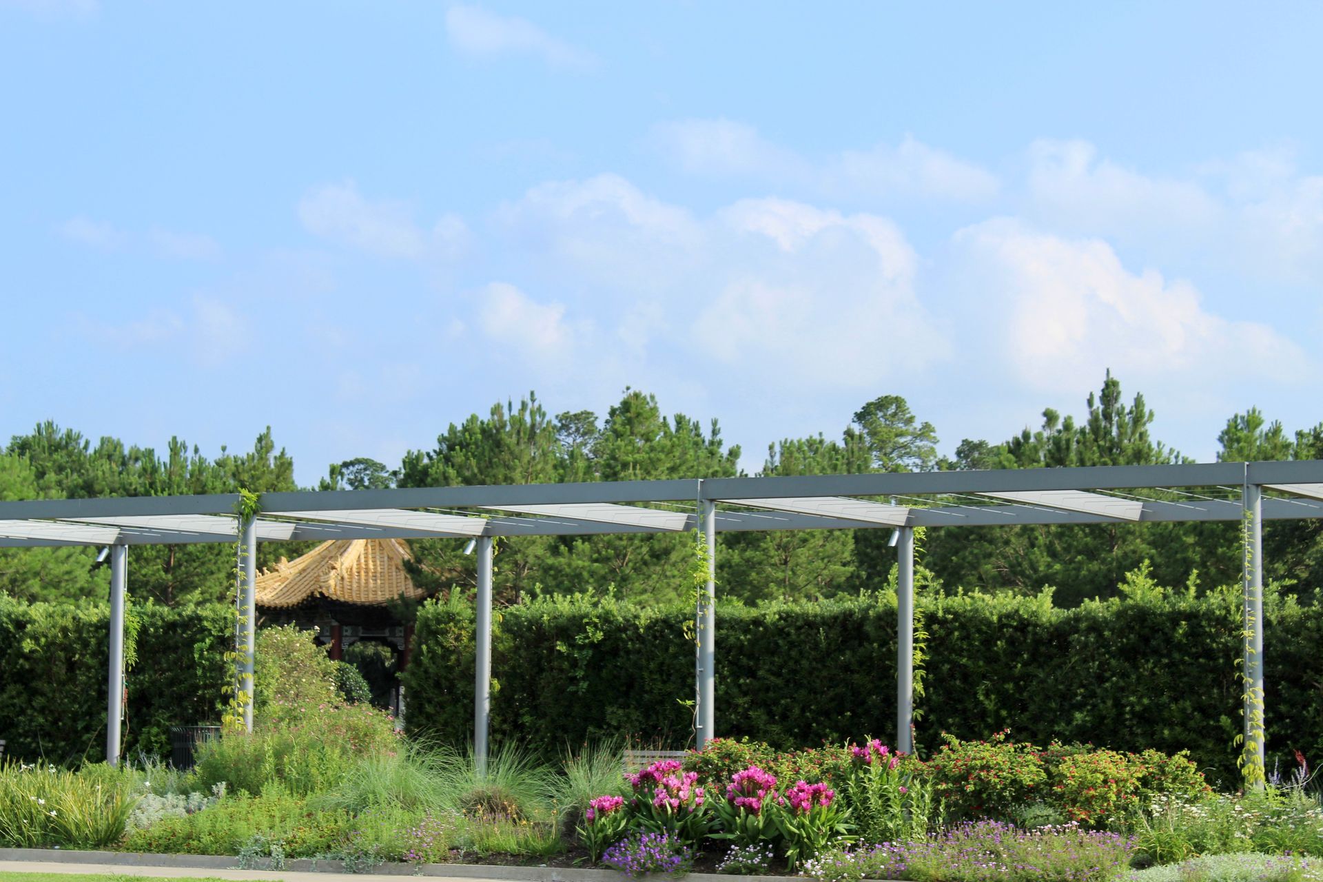 Pergola with metal beams over a garden with flowers and green hedge against a blue sky.