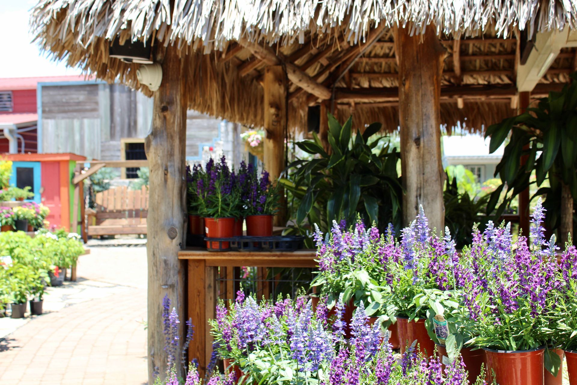 Wooden gazebo with purple flowers for sale. Plants and buildings in the background.