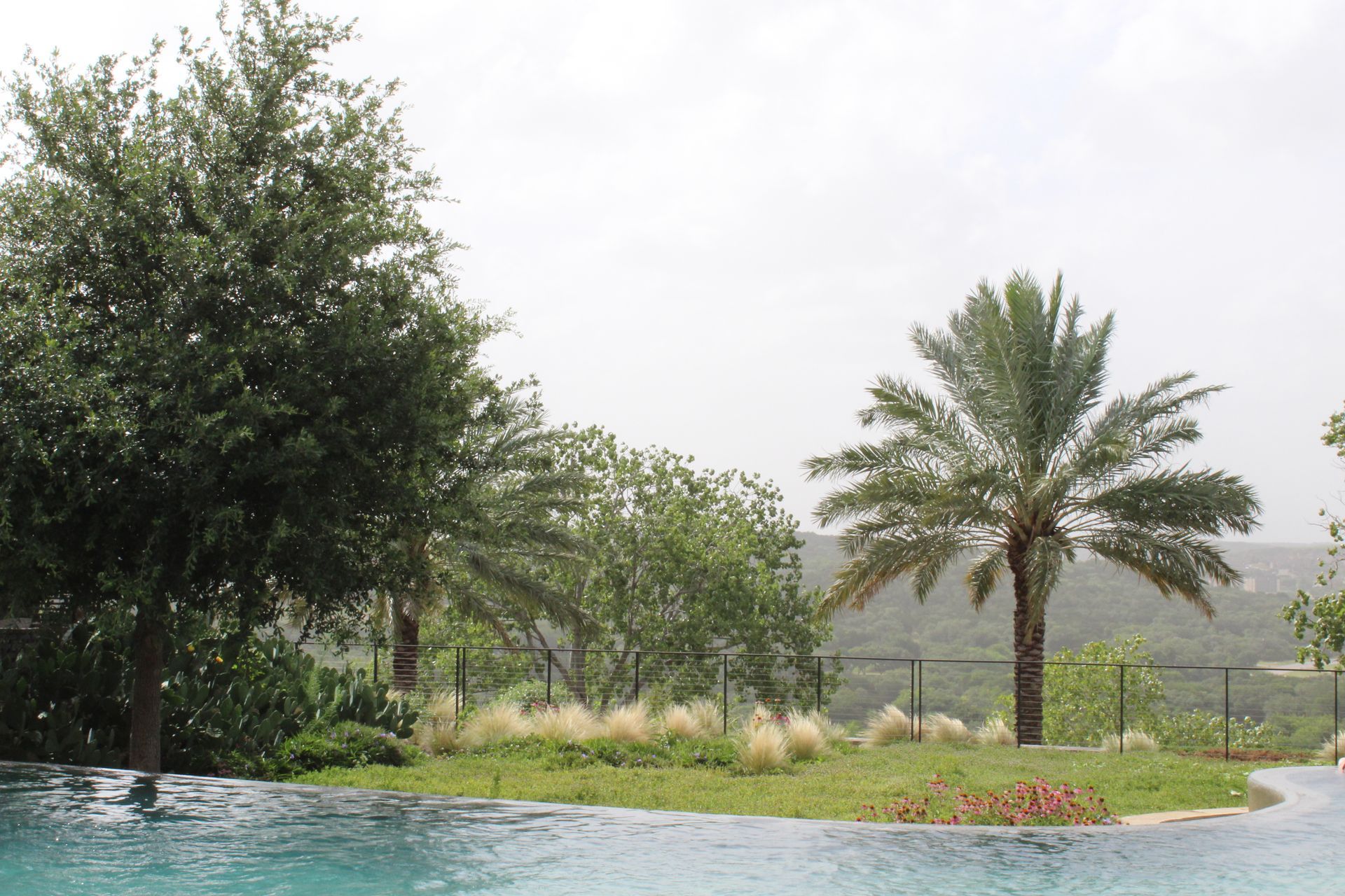 Poolside view: Palm trees and lush green plants with an overcast sky.