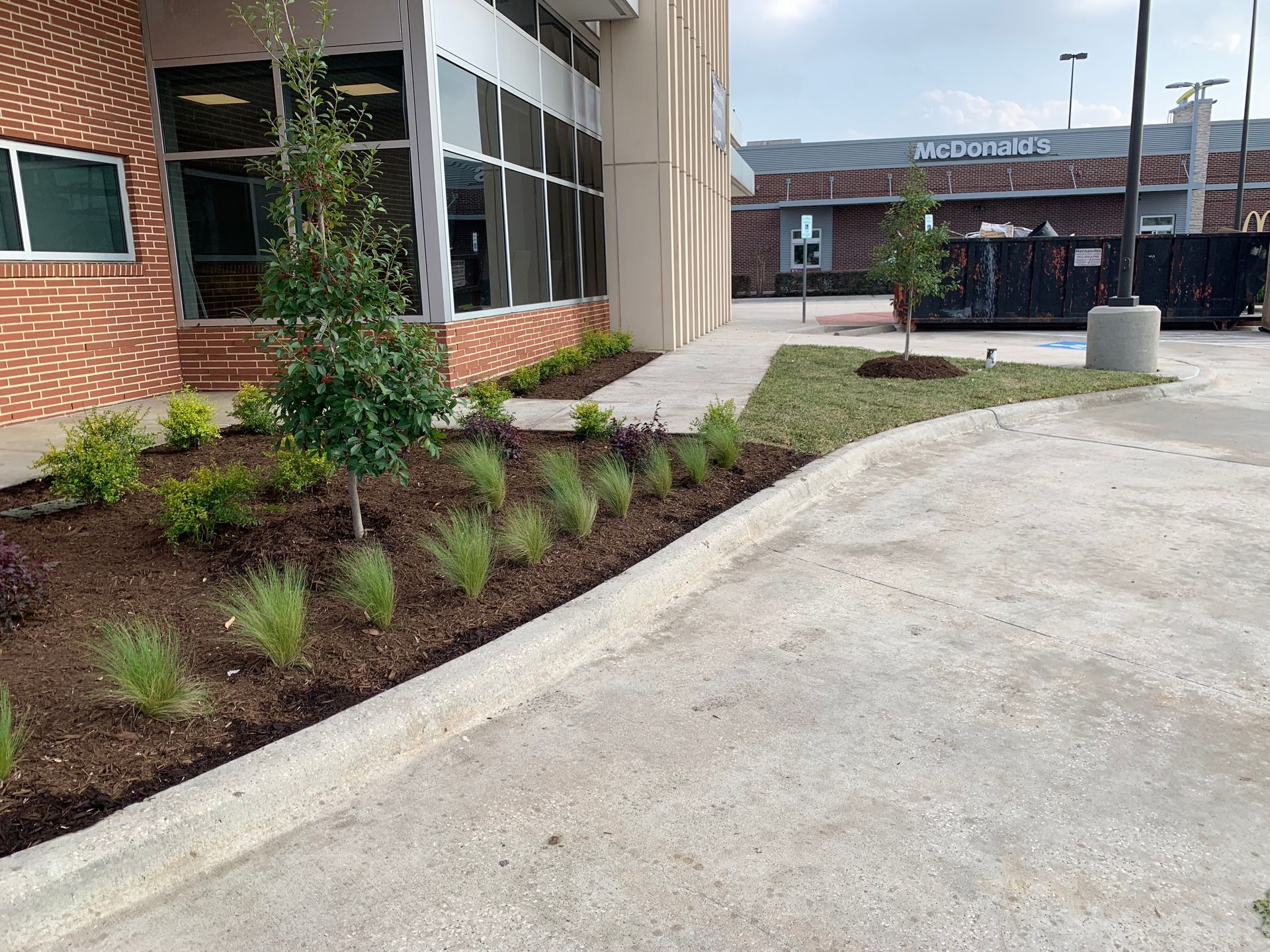 Landscaped area with new plants and mulch next to a building with windows. Concrete pathway.
