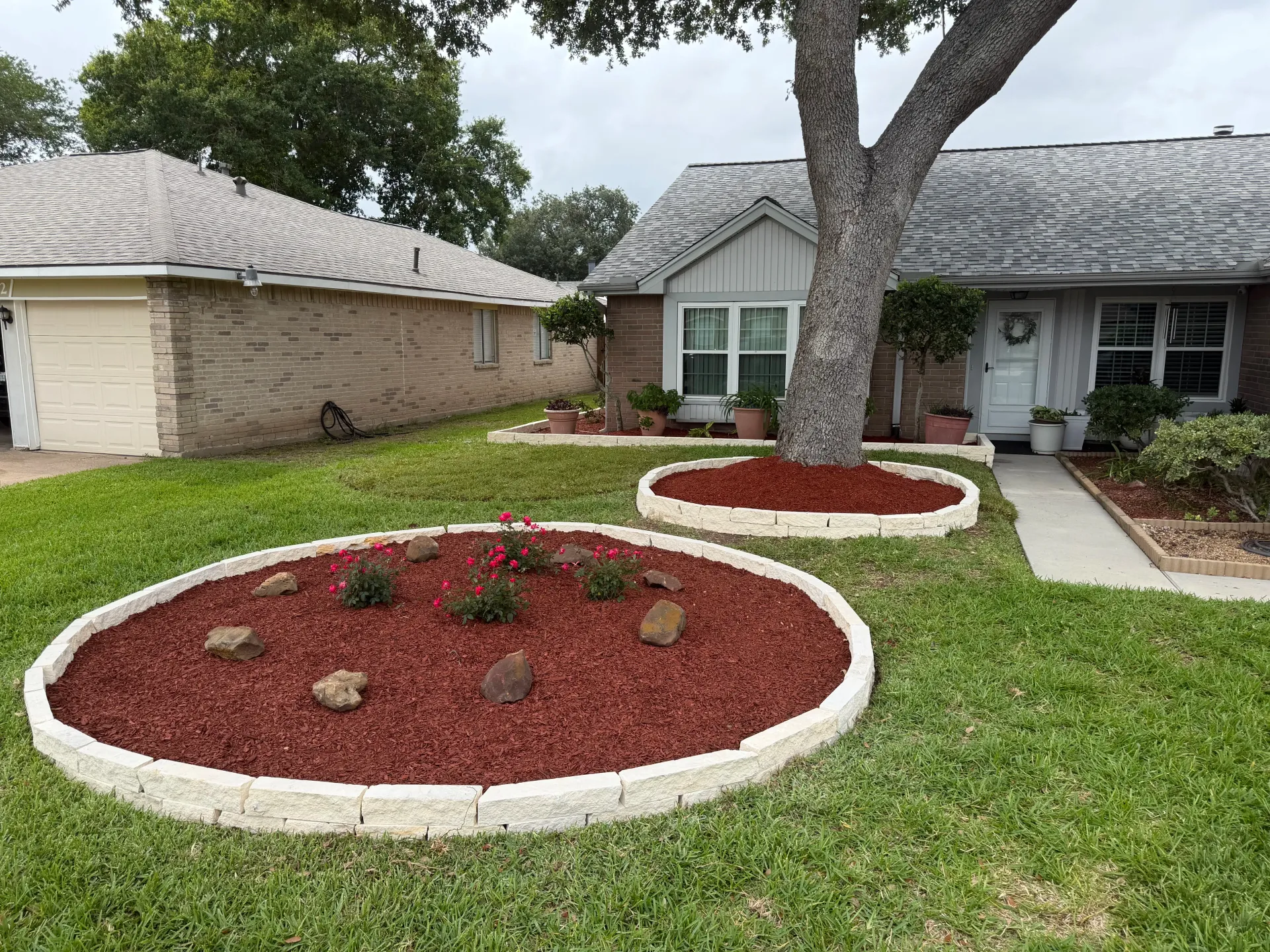 Landscaped front yard with red mulch beds, a tree, green lawn, and a house with a gray shingle roof