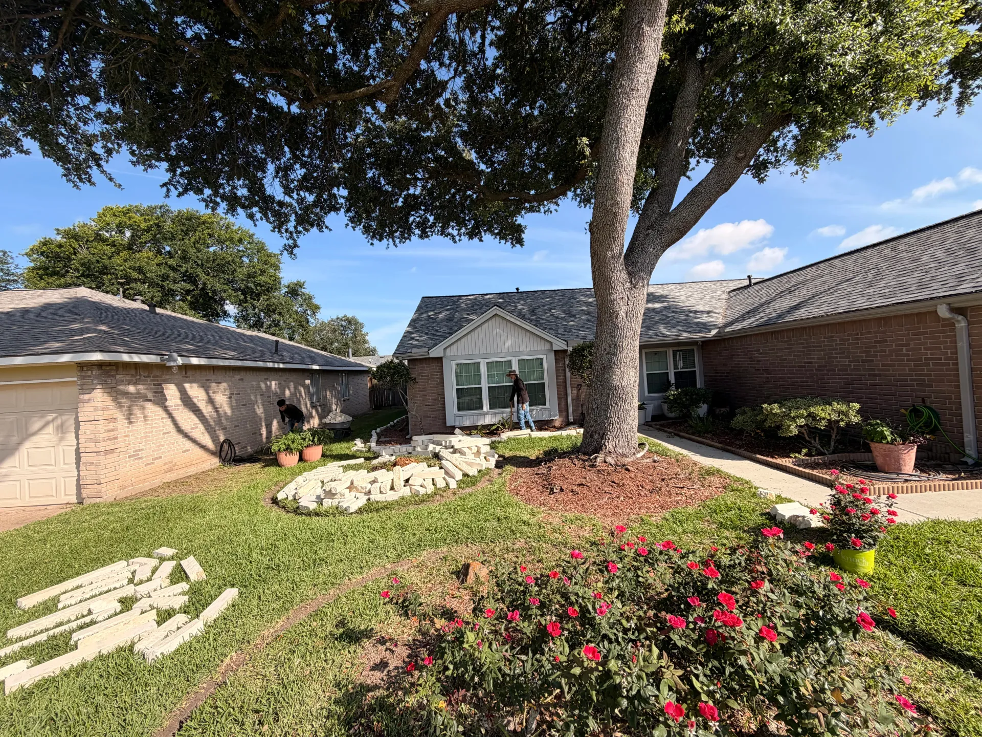Front yard with a large tree, flower beds, and a house under a blue sky