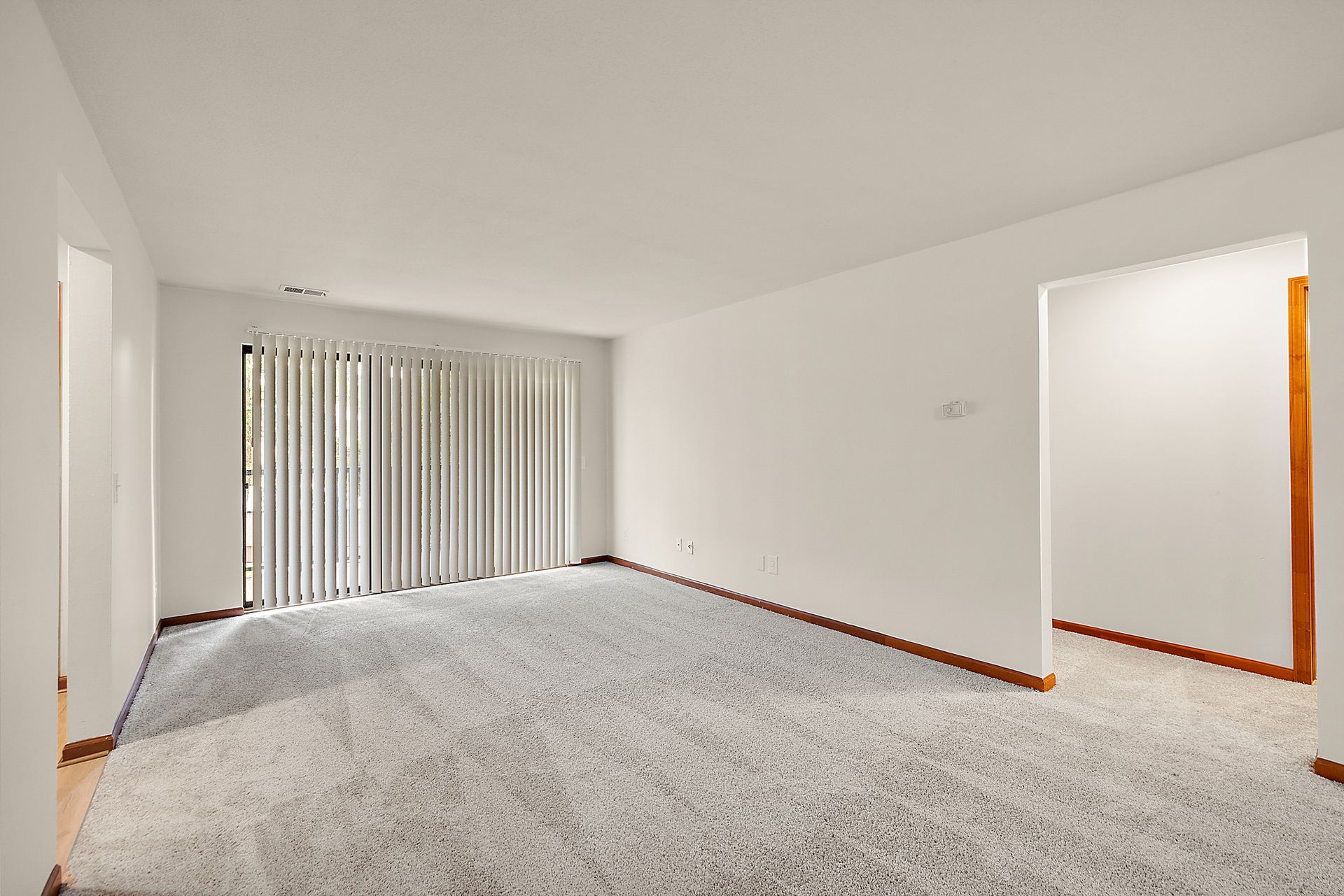 An empty living room with a large carpet and sliding glass doors.