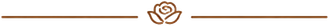Linea sottile marrone con al centro l'icona di una rosa dorata su sfondo bianco.
