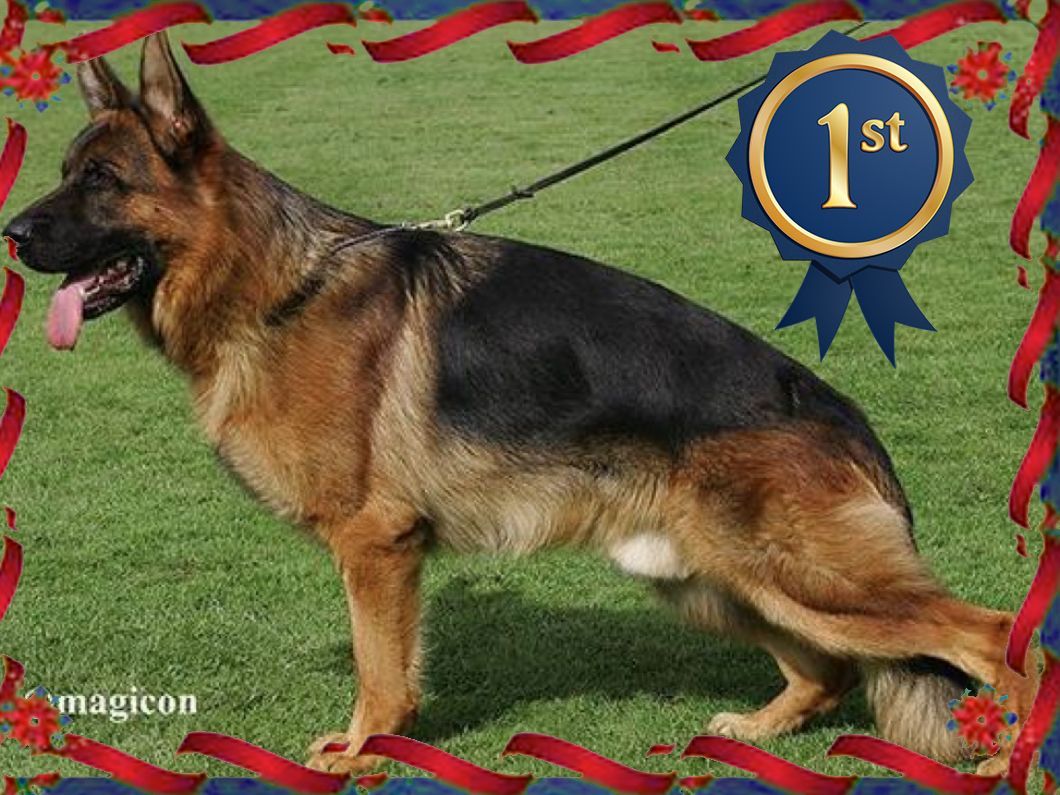 Ballack von der Brucknerallee