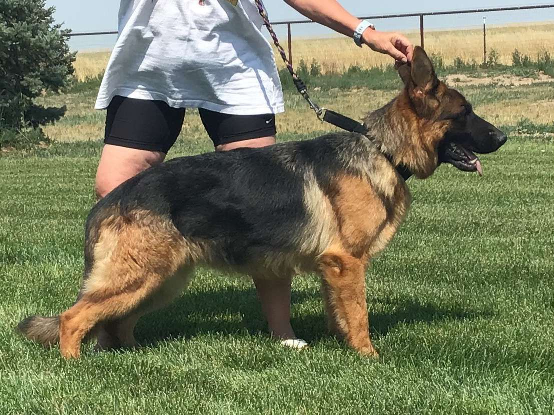 Faith Von Steinig Bergen