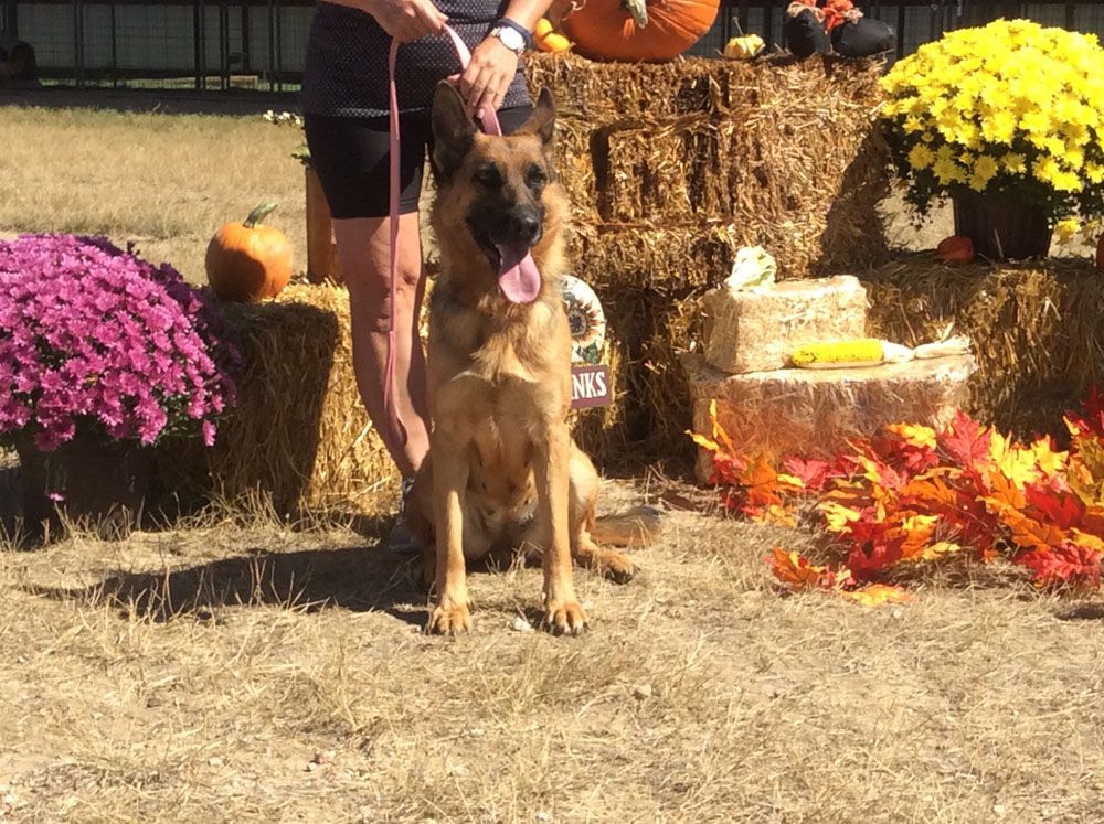 Feischa Von Fleischerheim