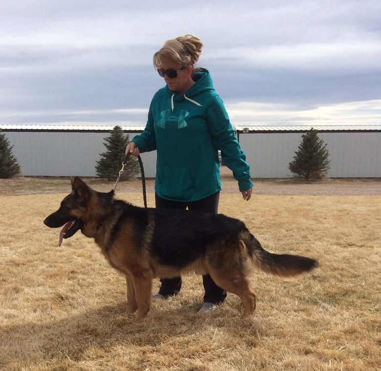 Gus Von Steinig Bergen