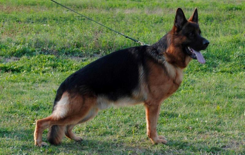 Turan Von Der Piste Trophe