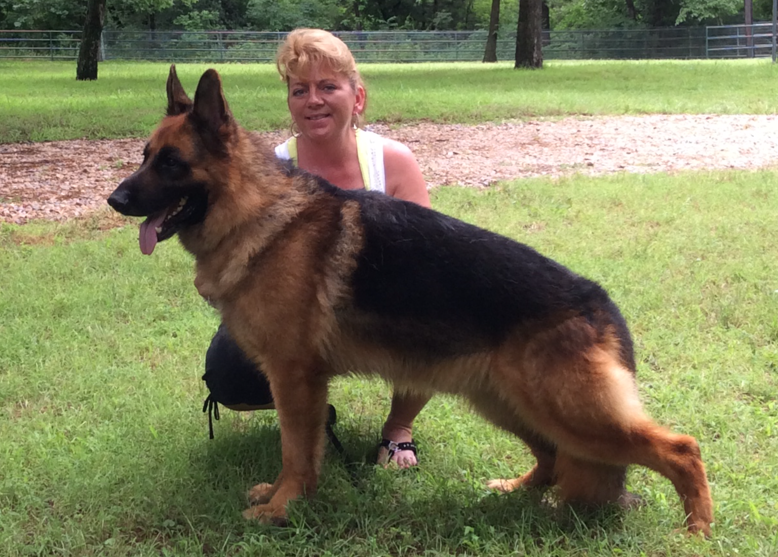 Wladamir vom Elbe-Saale-Winkel