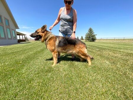 Boone Von Steinig Bergen