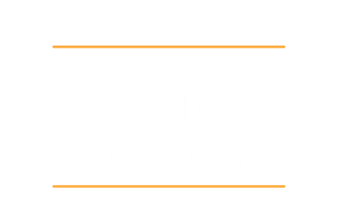 A solid white rectangular space framed by two thin, horizontal, light brown lines on the top and bottom.