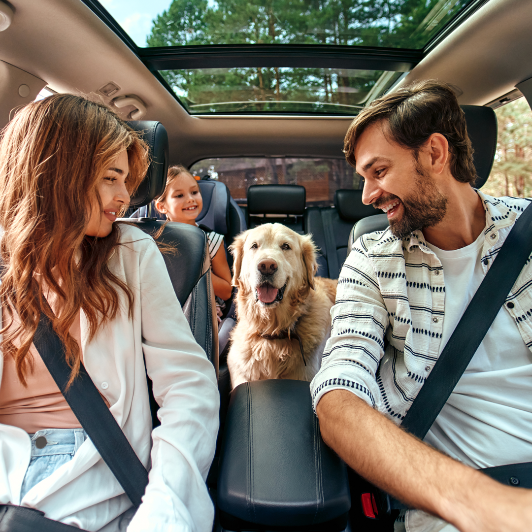 A man and woman are sitting in the back seat of a car with a dog.