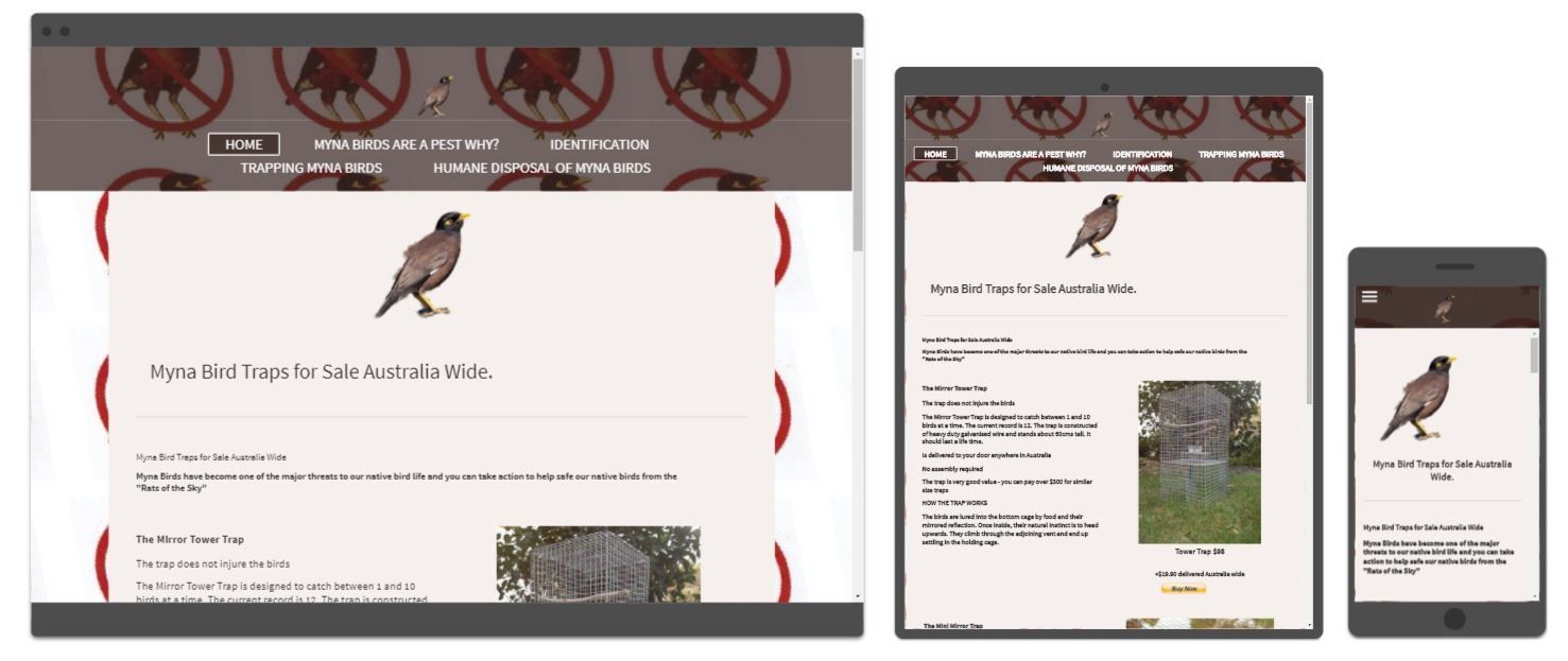example of a simple responsive website with basic shopping cart.