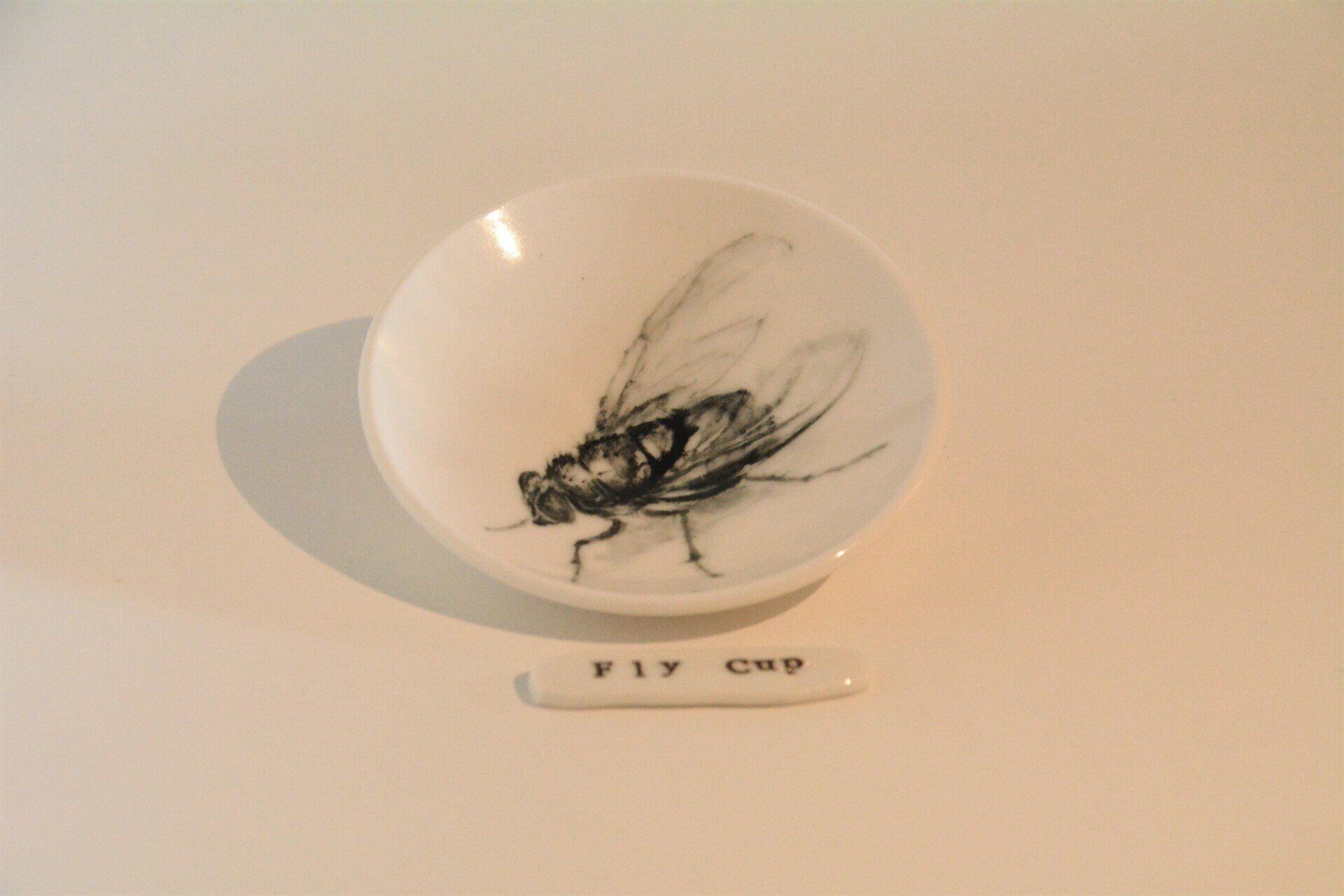 A white plate with a picture of a fly on it