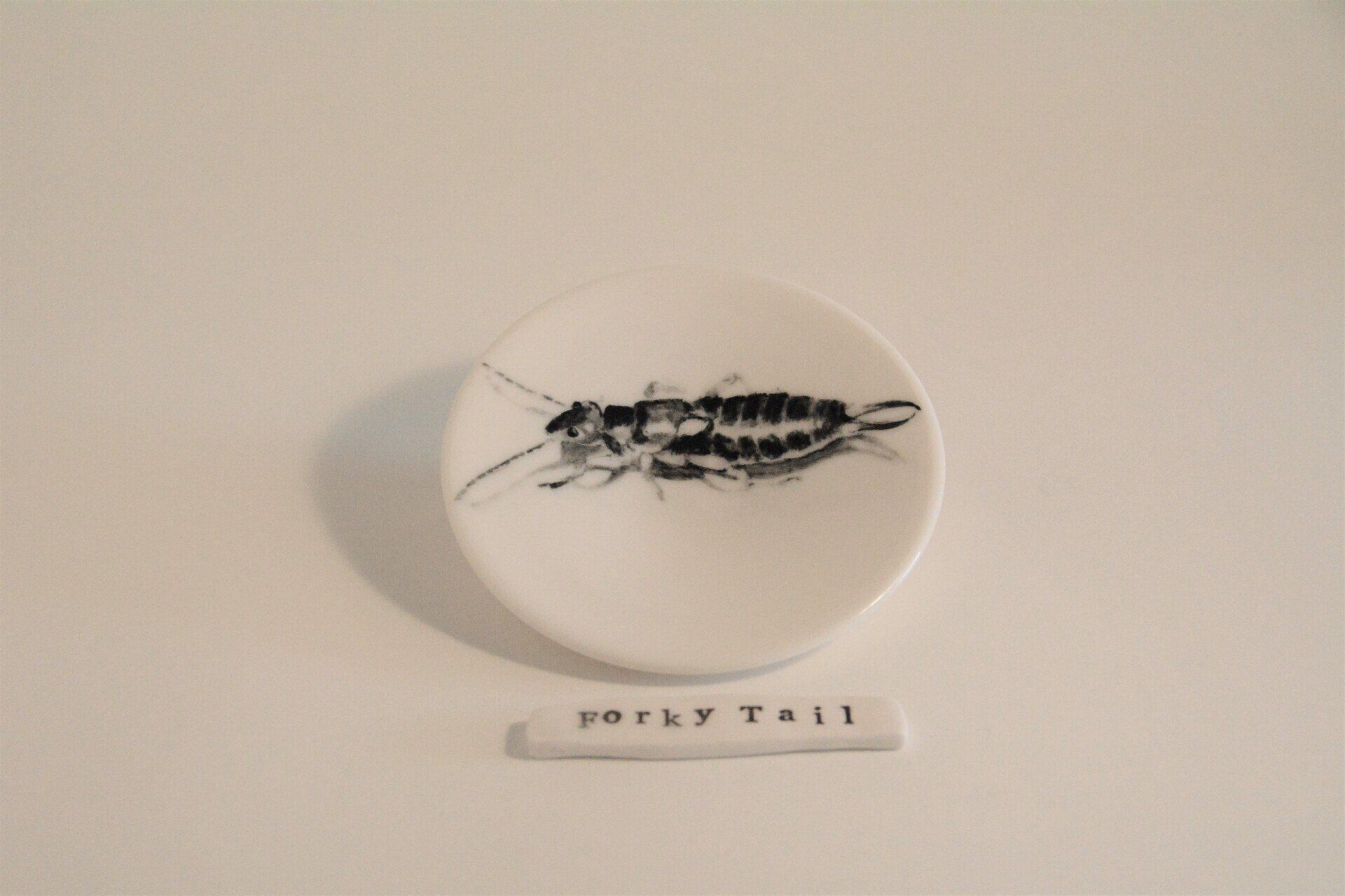 A white plate with a picture of a cockroach on it