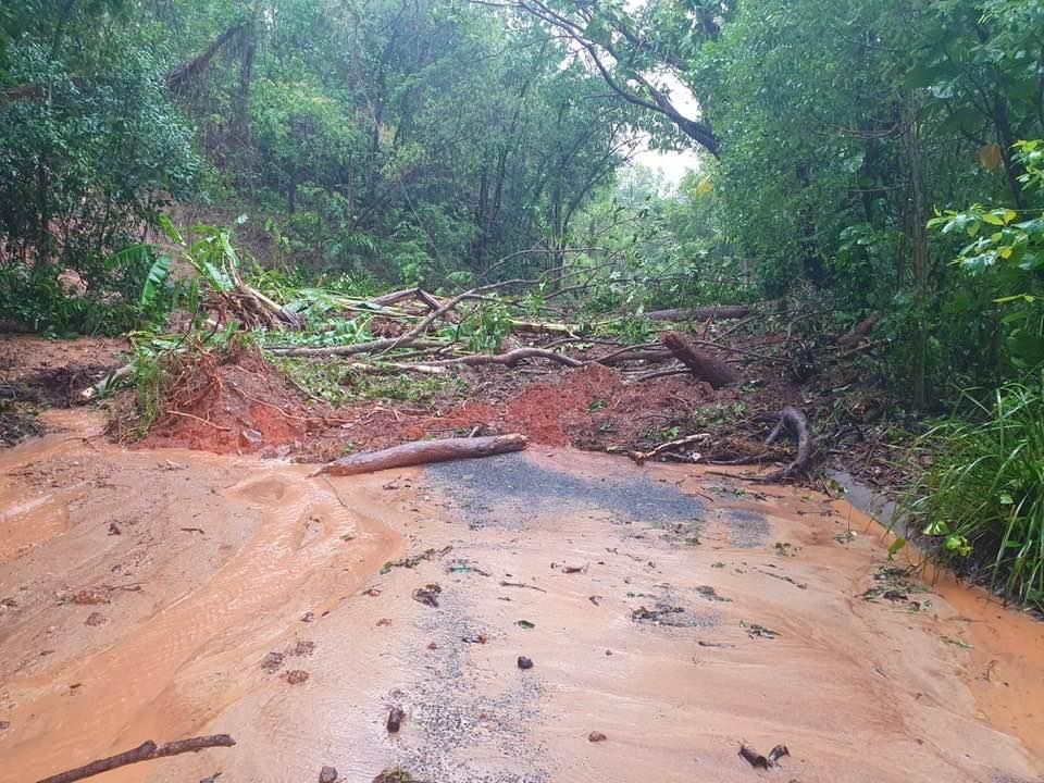 A muddy road in the middle of a forest with trees fallen on it.