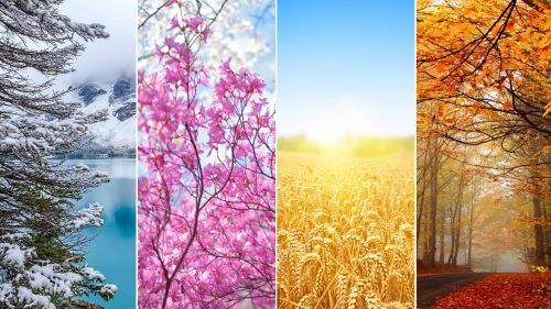 a collage of four pictures of different seasons of the year.