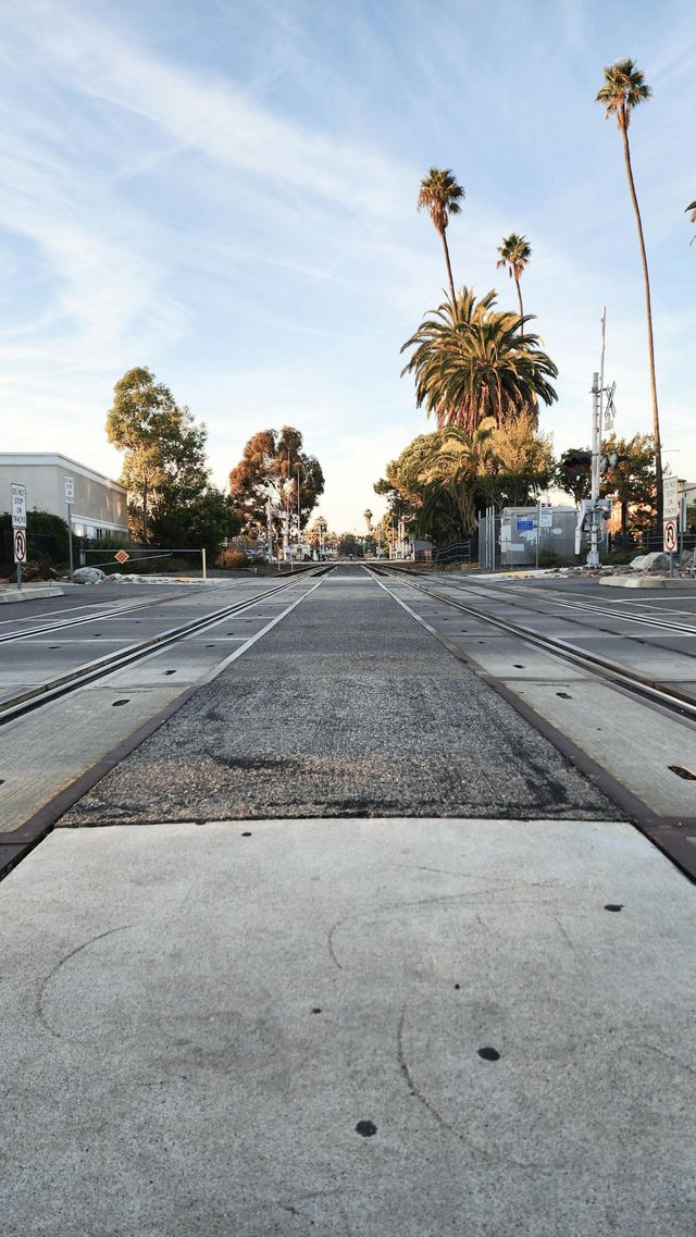 Empty railroad tracks leading into a sunny street lined with tall palm trees