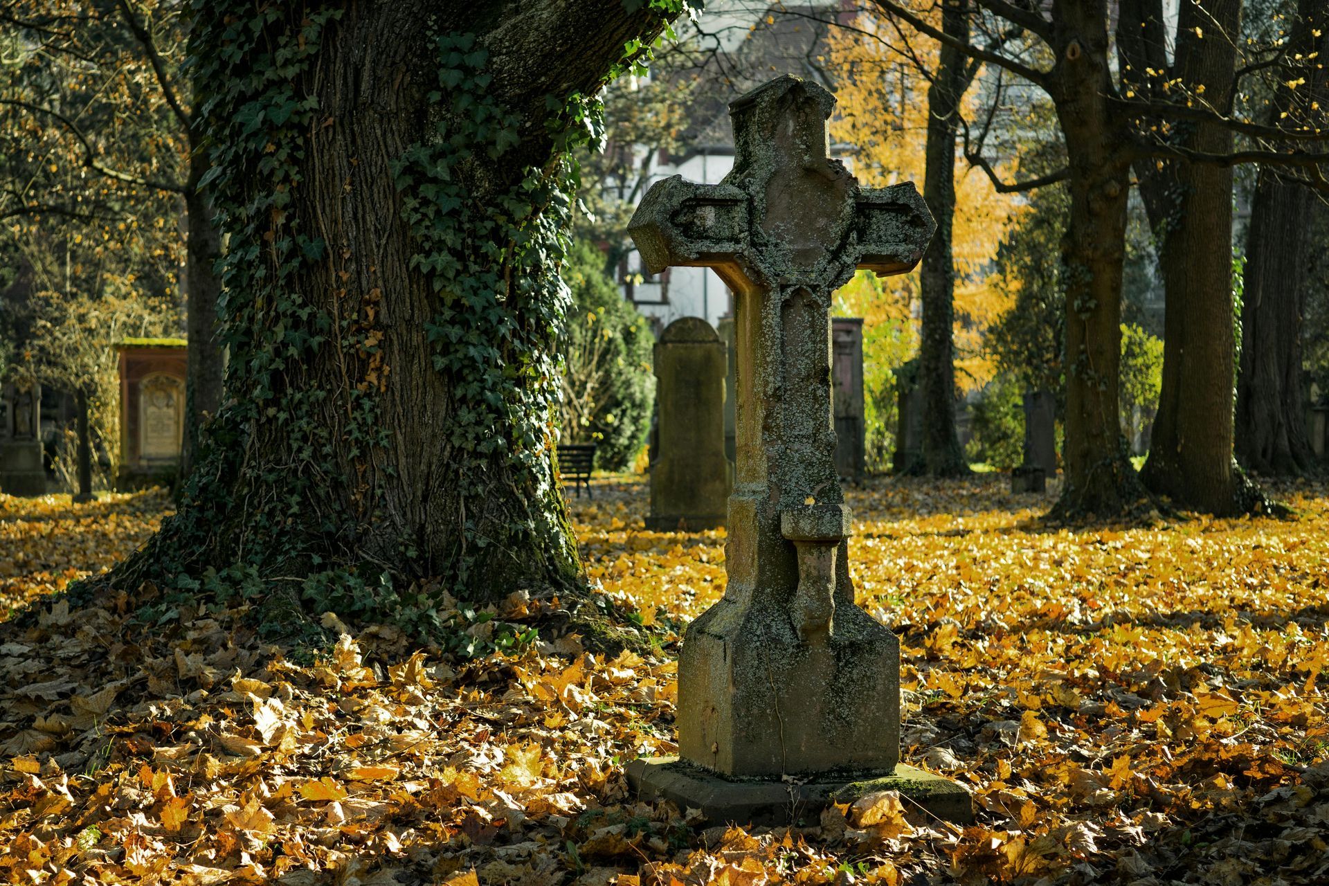 A cross in a cemetery surrounded by trees and leaves.