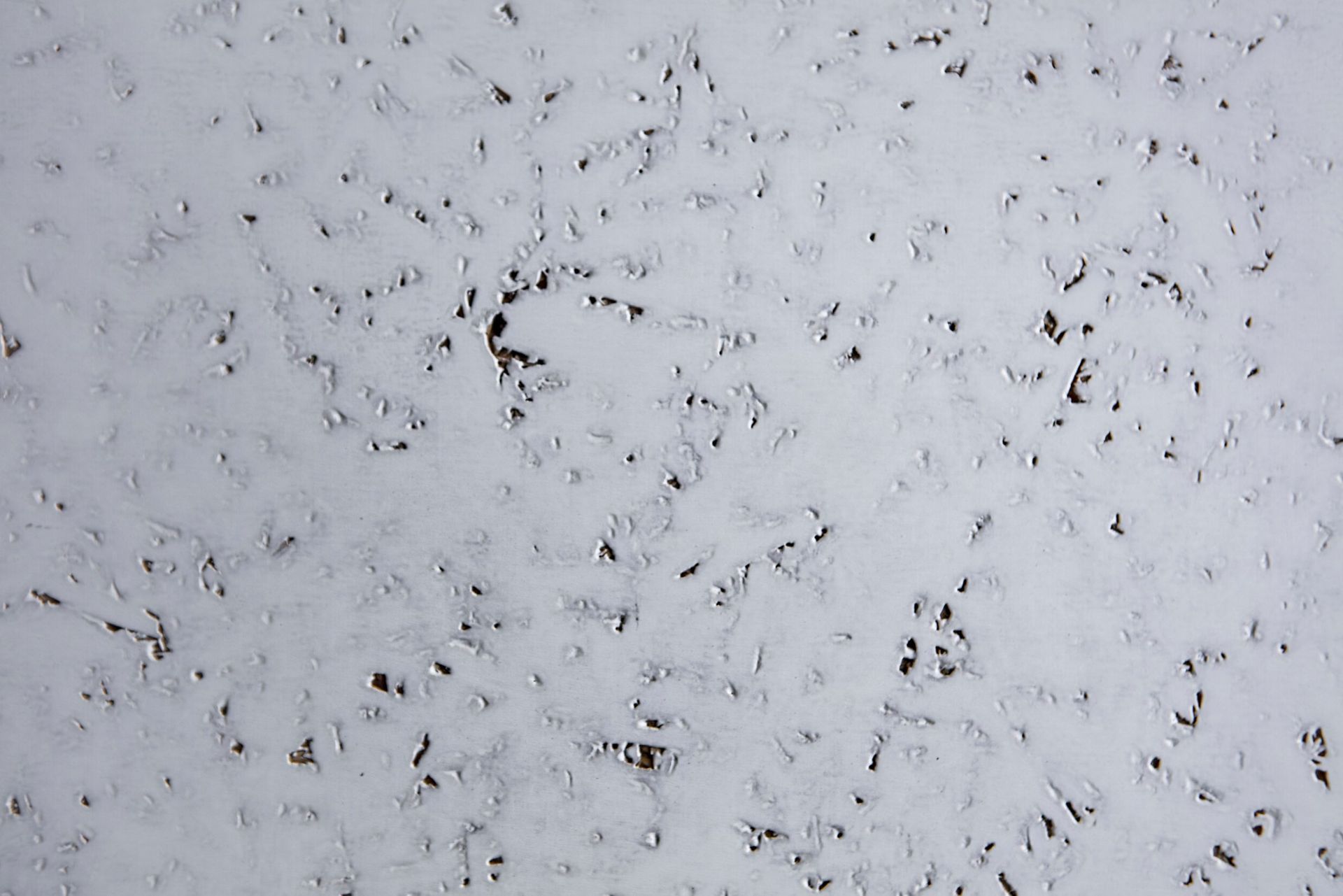 LA VERNICIATURA AZZANESE