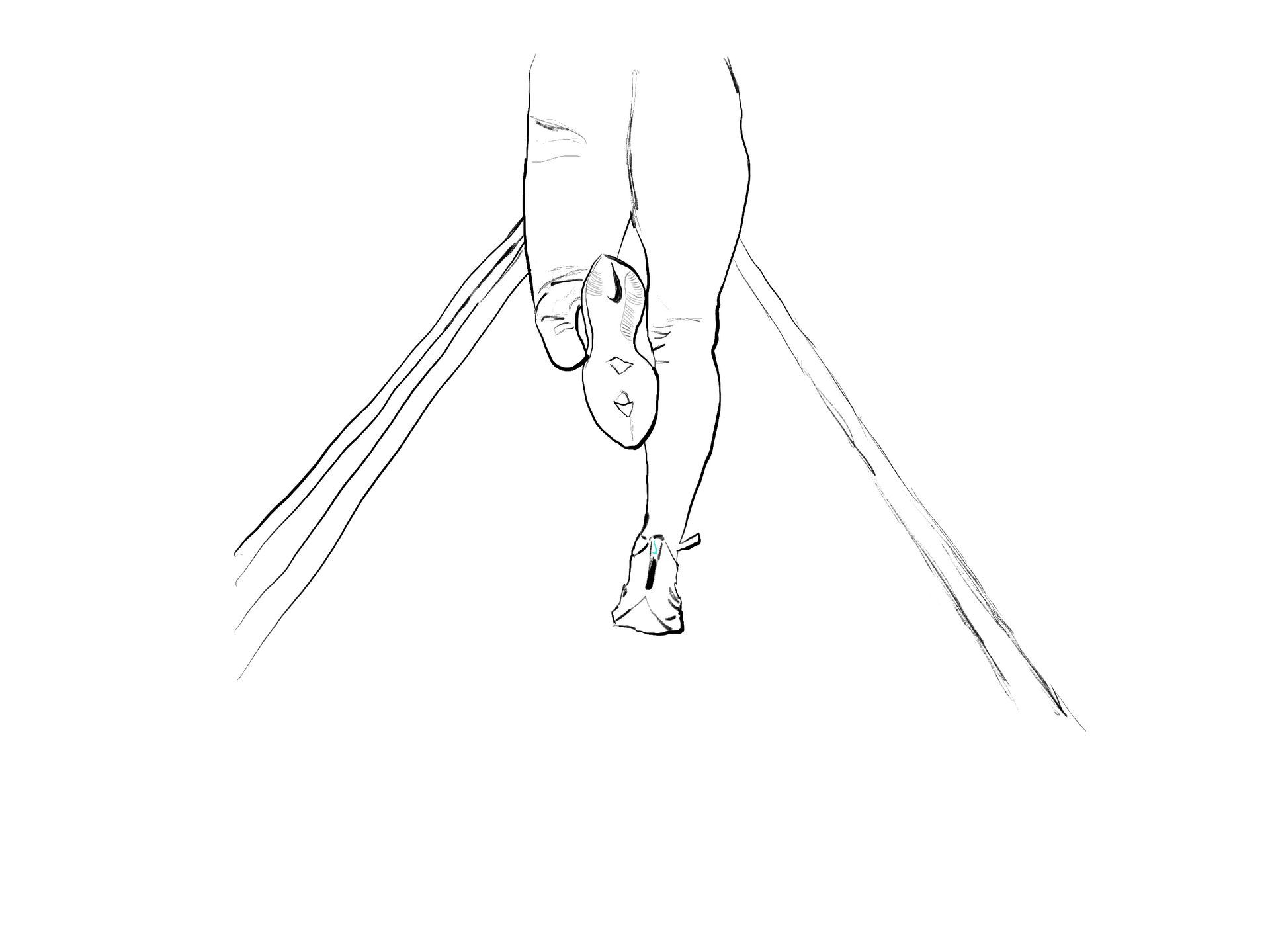 A person's legs suspended in the air by aerial silks.