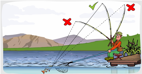 technika holu i podbierania ryb