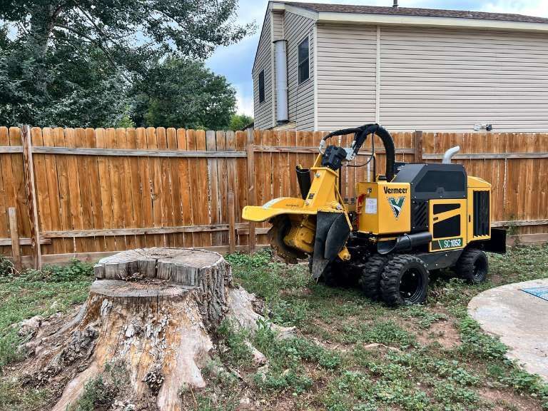 Tree Stump To Be Removed in Denver, CO