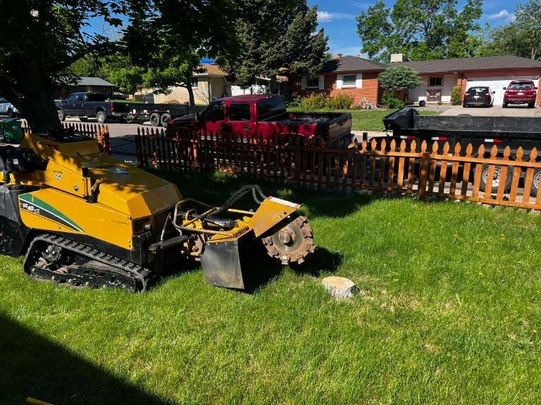 Denver CO Land Clearing and Stump Removal