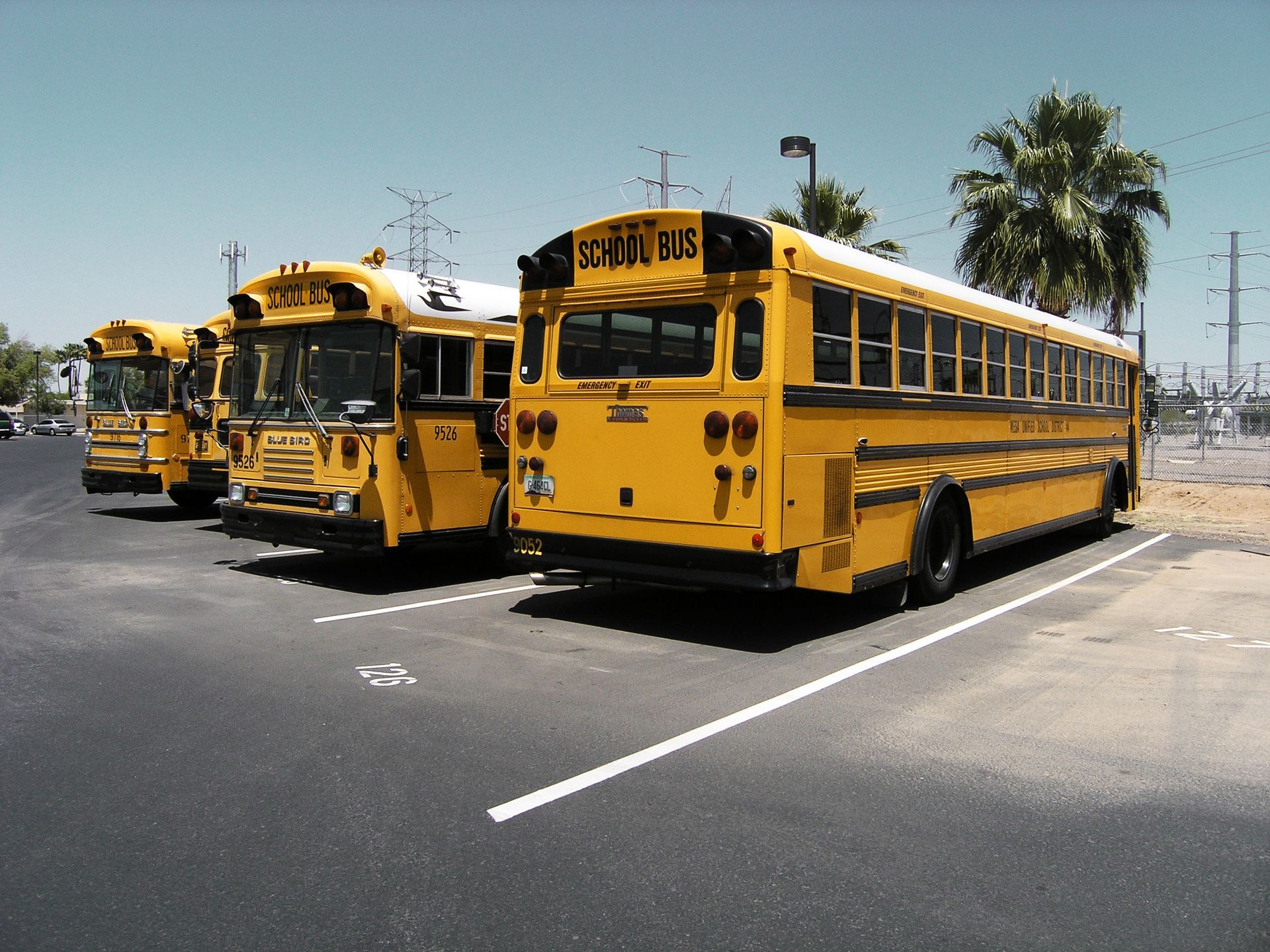 Een rij gele schoolbussen staat geparkeerd op een parkeerplaats
