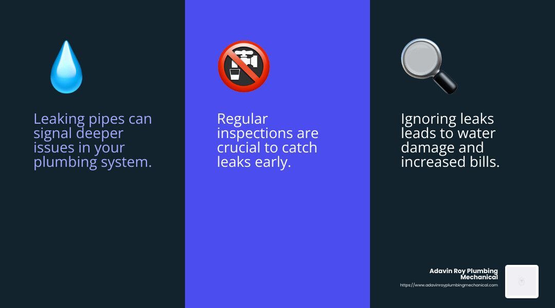 Leaking pipe warning - emergency plumber belleville il infographic 3_facts_emoji_blue