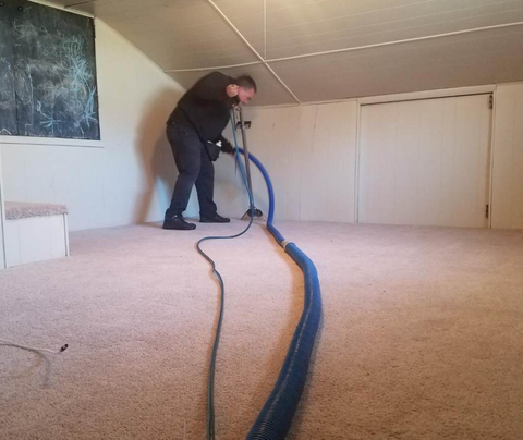 Carpet Cleaner — Cleaner wearing gloves while cleaning carpet in Heiskell, TN