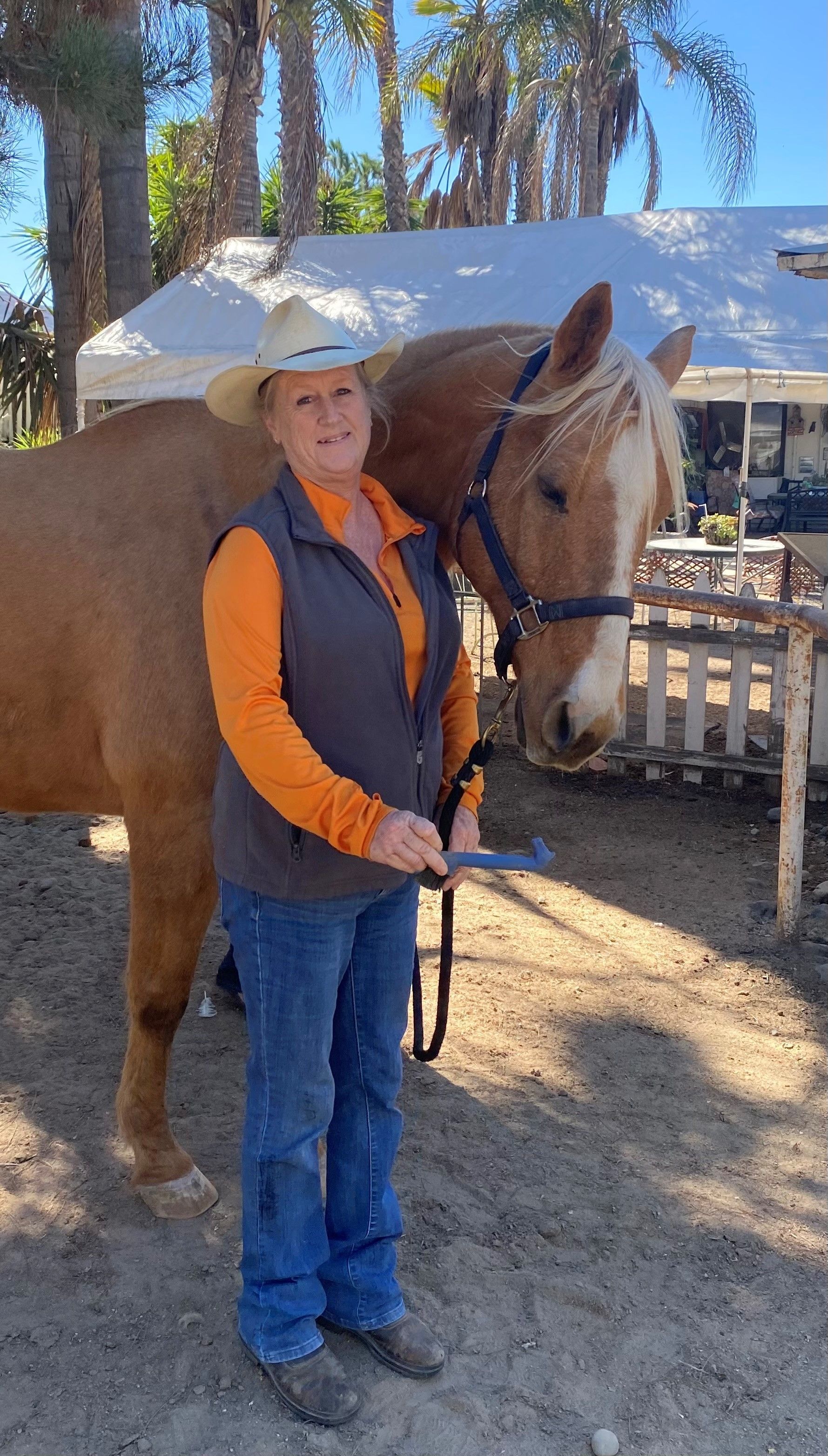 Woman in cowboy hat stands with palomino horse, holding a tool outdoors.