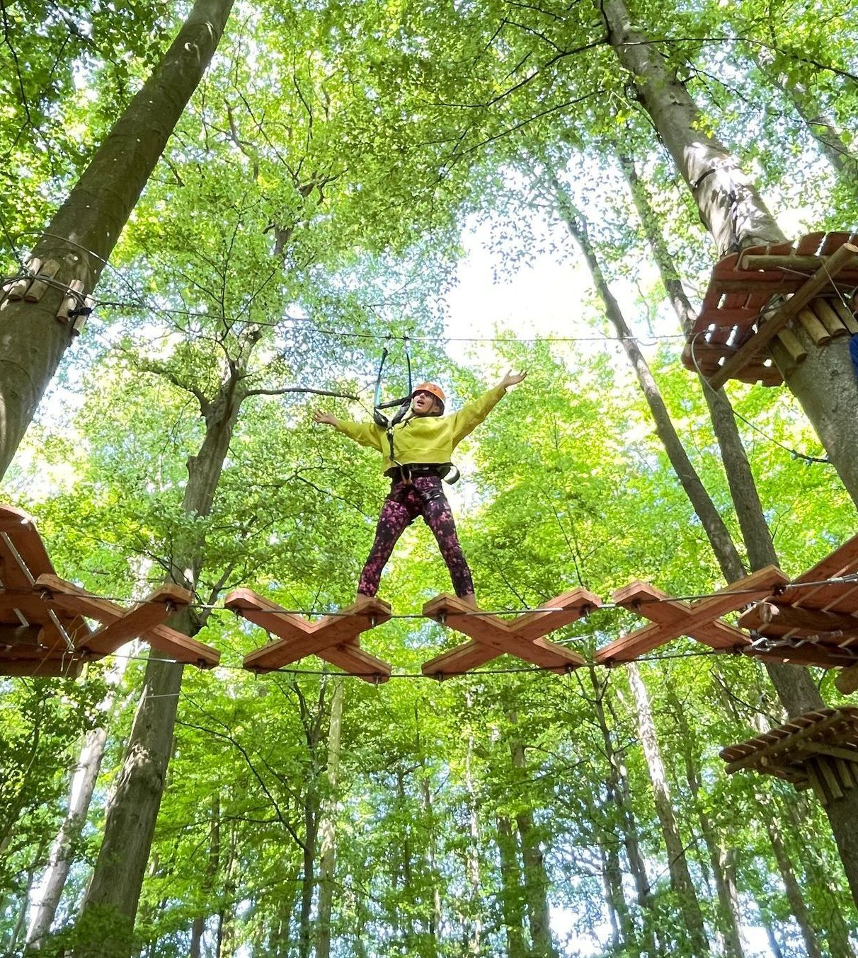 fantastic woodland birthday party. Children harnessed to a high ropes course aerial adventure