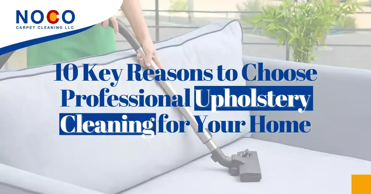 Professional Upholstery Cleaning