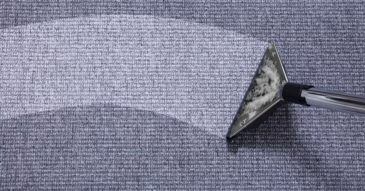 Eco-friendly carpet cleaning with steam extraction for deep cleaning results