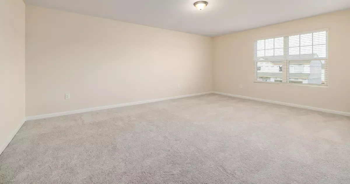 Freshly cleaned room with soft carpet showing results of trusted carpet care near me services